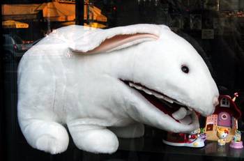 Menacing rabbit in shop window on Montmartre.